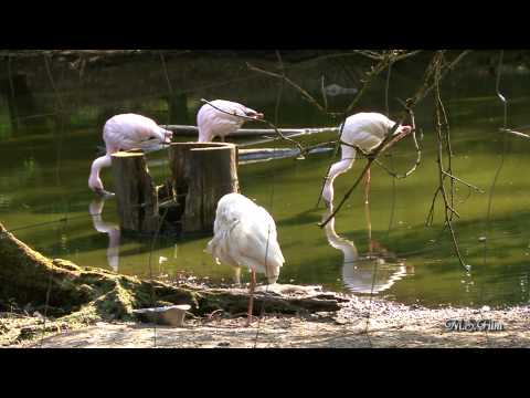 Wir machen einen Ausflug
