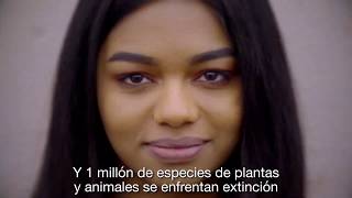5 de Junio: Día mundial del Medio Ambiente