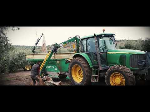 Producción de aceite - Oro Bailén Picual Dose 2,5 L