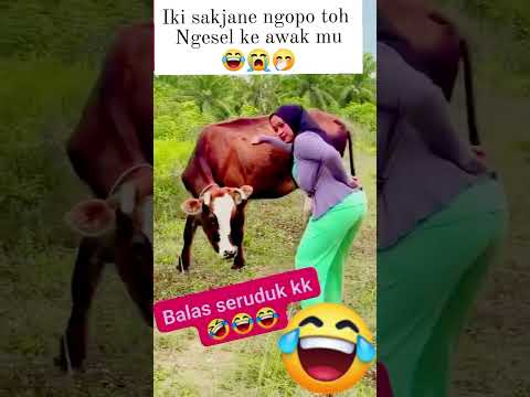 ada ada saja?!!$,/ #share #funny #fypシ゚viral #shortsvideo