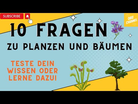 Pflanzen und Bäume Quiz auf dem Quiz Channel --10 Fragen die dein Wissen testen-