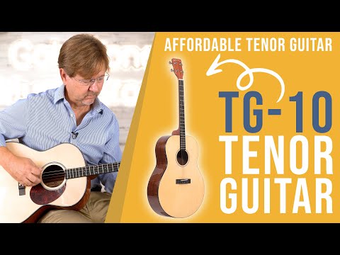 Gold Tone TG-10/L: Tenor Guitar with Gig Bag image 26