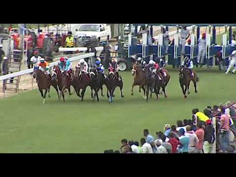 RM5 R8 - Anton Ruskin | B.Reis