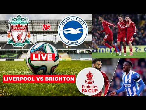 Liverpool vs Brighton Live Stream FA Cup Football Match Today Score Commentary Highlights LFC Vivo