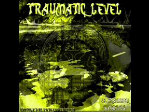 Endless Euforia & Cosmic Iron - Traumatic Level-DPsyV