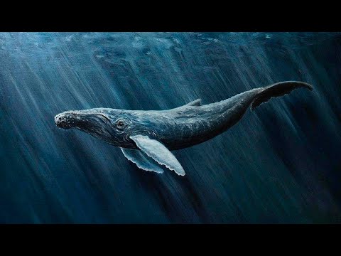 432Hz. Space Whale. Relaxing music for deep sleep and meditation. #space  #relax #432hzmeditation