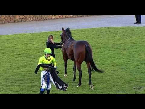 Belmont Park, 25/05/2016 - Race 7 - BONNY ZARA - Jason Miller/Clint Johnston-Porter