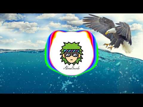 Win and Woo x Bryce Fox - Chicago