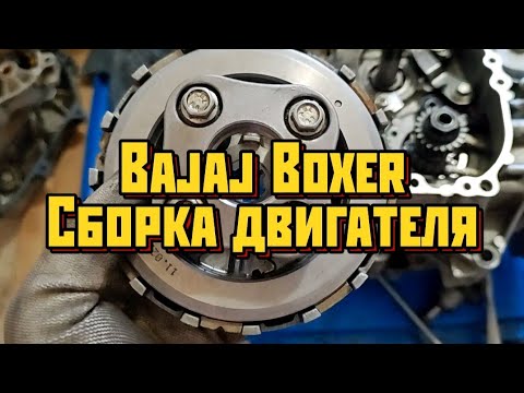 Bajaj boxer 150. корзина сцепления, натяжитель цепи, притирка клапанов, кик стартер