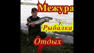 Платная рыбалка в калужской области 2020 межура