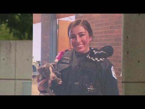 WGN News coverage of the Ella French Scholarship