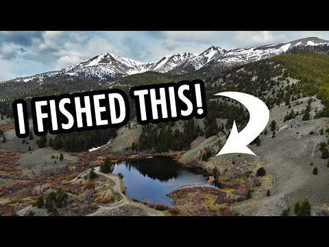 Catching Big Trout in a Challenging Mountain Lake! (Tenkara Fly Fishing)