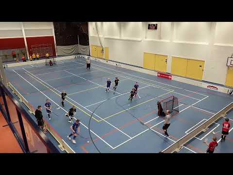 P11 SKL2 LeBa-96 Hearts - Welhot Rocks