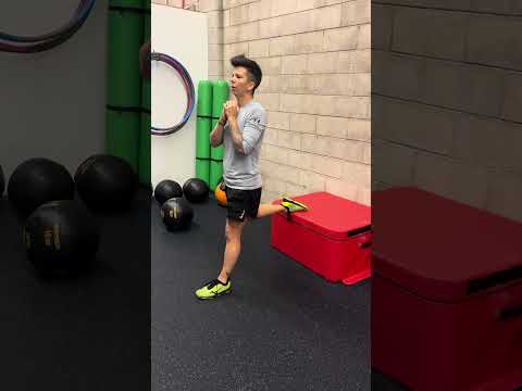Bulgarian Split Squats