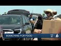 Food Distribution Event At Greyhound Racetrack Has Huge Turnout