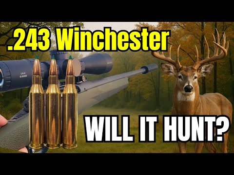 .243 Winchester - Will It Hunt? [Bullet Drop, Scope Dials, Energy and MORE]