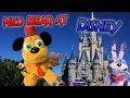 Gw Movie Ned Bear At Disney