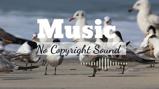 Classic Mariachi || No Copyright Sound Apply you're all YouTube videos for free #ncs #soundtrack
