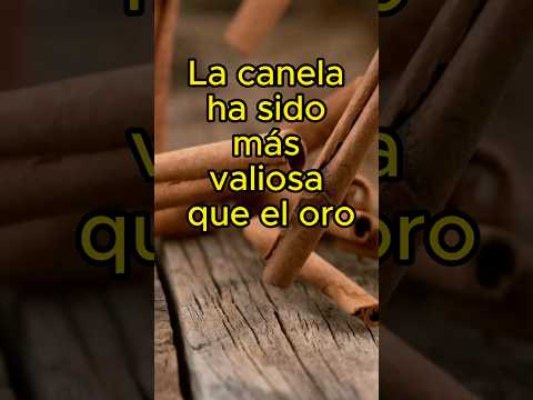 Beneficios de la canela (té de canela)
