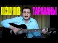Александр Хлопов - Тараканы (Docentoff. Вариант исполнения песни Александа ...