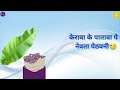 ChhathPuja WhatsAppstatus Kerwa Ke Patwa Par Newta Pathani