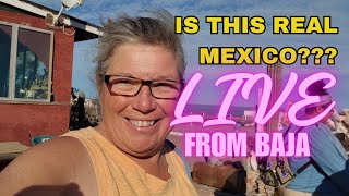 MEXICO: What's Real, What's Not? Live from Baja!