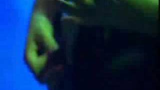 Cannibal Corpse - Fucked with a Knife (Wacken 2007)