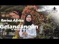 GELANDANGAN H Rhoma Irama REVINA ALVIRA Dangdut Cover