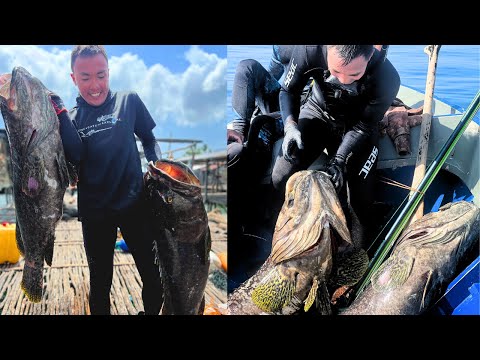 25kg and 21kg MONSTER  Bumblebee Grouper nahuli sa TAWi-TAWI! Spearfishing Philippines E6 Sitangkai