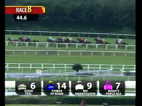 Race 8.flv