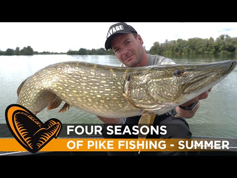 Four Seasons of Pike Fishing   Episode #2  - Summer with Sean Wit