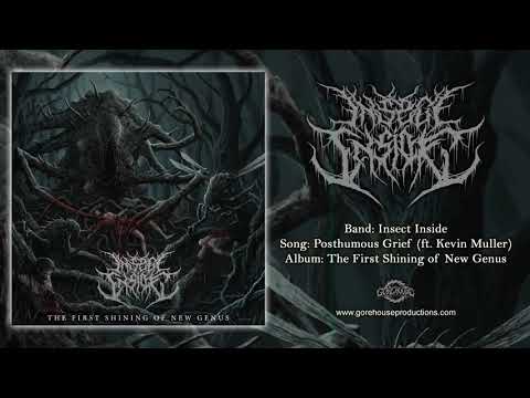Insect Inside ft. Kevin Muller - Posthumous Grief (Official Track)