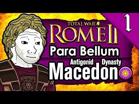 Simpzy Live and Simpzy