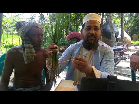 প্ল্যান্ট ক্লিনিকঃ কৃষকের দৌরগোড়ায় কৃষি সেবা