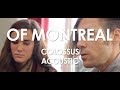 Of Montreal - Colossus - Acoustic [ Live in Paris ]