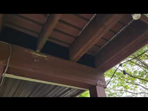 Protecting the Deck Joists from Squirrels & Birds in Spring Lake, NJ