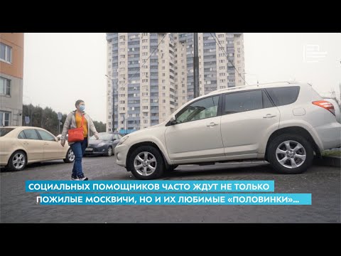 Социальный помощник и автомобиль