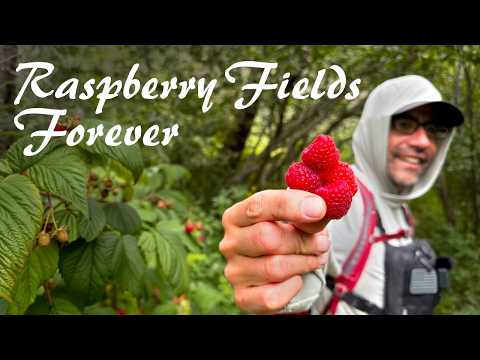 Hiking- E125: Raspberry Fields Forever | Borrego Trail- Santa Fe National Forest, NM