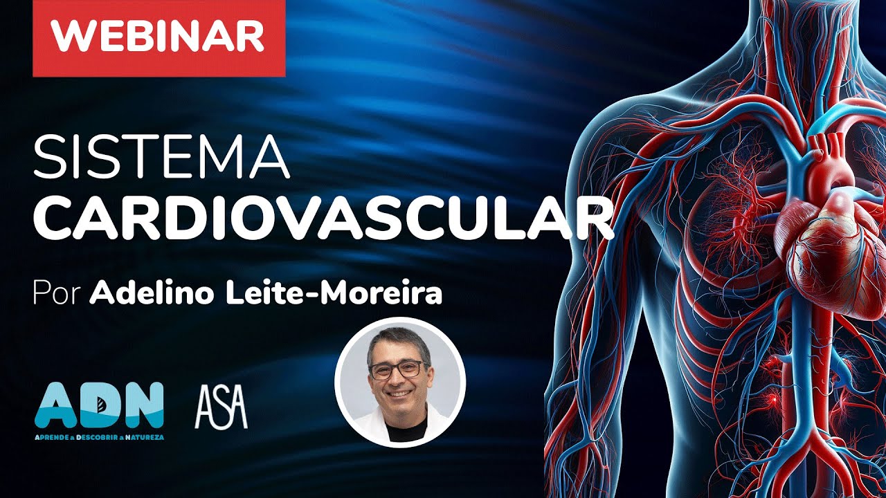 ADN ASA  Sistema cardiovascular  Por Adelino Leite Moreira