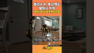 [세가지 뉴스] 제미나이 탑한 현대차의 '로봇개' 이제 개 산책도 한다! #shorts