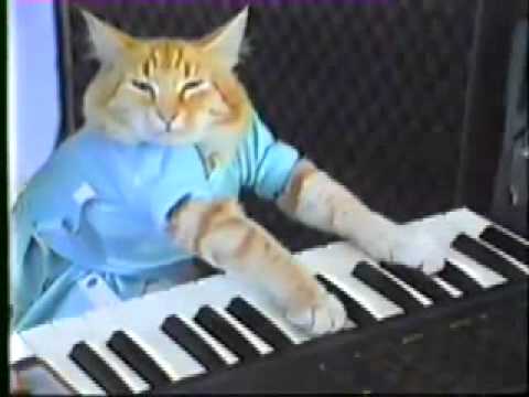 Charlie Schmidt Keyboard Cat! - ORIGINAL!