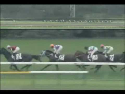 Japanese Derby Gr1 310509 Logi Universe