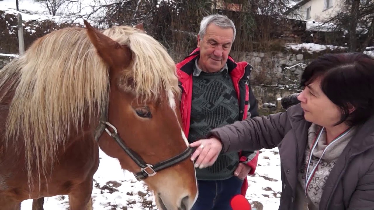 Хубав кон и хубава жена не са за сиромах