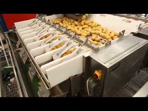 FRESCO SECCO - DI VINCENZO AURIEMMA