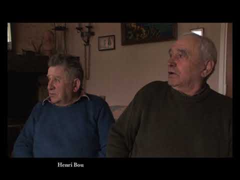 Castanhals, castanhas e castanhons