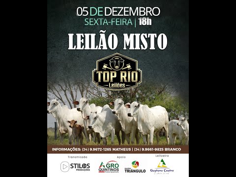 LEILÃO MISTO 05/12/2025 - TOP RIO LEILÕES - RIO PARANAÍBA-MG