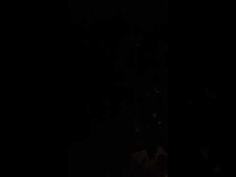 Trained Professional Efficiency Peace Man Rite Global Kin SigNature Sign Post Traffic Flowing