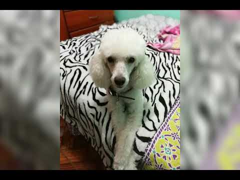 Feliz cumpleaños MEY