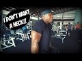 No Neck Shoulder & Trap Workout | MY Maintenance Macros