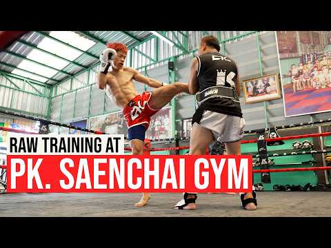 PK Saenchai Muay Thai Gym training video